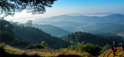 Bangalore Mysore Ooty Coorg Travel Package